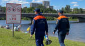 Дети ныряли с моста в Курске: спасатели провели рейд на водоёмах