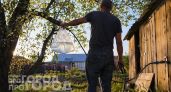 Все смотрели с недоумением, а теперь сами вешают пакеты с водой: этот копеечный метод прогнал вредителей