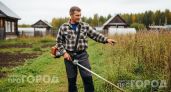Забудьте про постоянную покупку лески для триммера: этот простой способ поможет косить участок бесплатно
