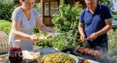 Забудьте про обычные гарниры: готовлю молодую капусту так что гости просят добавку еще до подачи мяса