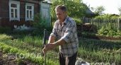 Больше никаких укусов на даче: один старый носок на палке избавляет от мошек лучше любой химии