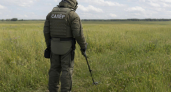 Сапёры группировки «Север» очищают от боеприпасов ВСУ поля и огороды Курского приграничья