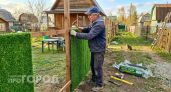 Хватит строить заборы из профлиста: узнайте как преобразить участок стильной альтернативой для приватности
