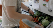 Больше не выбрасываю гнилые овощи: купила копеечное средство в аптеке и храню их свежими целый месяц