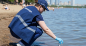 На пляжах Курской области не нашли патогенных микроорганизмов в воде