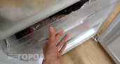 Хватит рисковать здоровьем семьи: биолог объяснила простой способ повторной заморозки мяса без бактерий