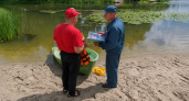 На курских водоёмах за полтора месяца утонули шесть человек, включая ребёнка
