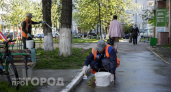 Перестаньте считать побелку деревьев пережитком прошлого: это копеечный способ защиты от вредителей и морозов