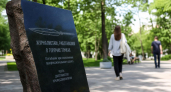 В Курске 13 военкоров наградили медалями за вклад в освобождение области