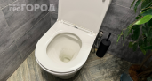 Обычные унитазы уходят в прошлое: узнайте, какой способ обустройства санузла станет стандартом в России