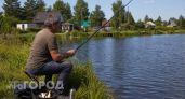 Куда в Курской области ехать за щукой и сомом: 5 самых рыбных мест