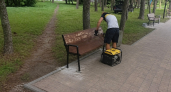 В Курске обновили входную группу у Ермошкина озера и отремонтировали 40 лавочек