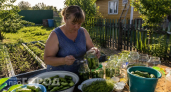 Мариную огурцы по-немецки вместо обычных: гости просят рецепт сразу после первой же хрустящей тарелки