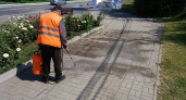 В Курске сорняки на плитке убирают гербицидами в утренние часы
