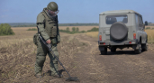 Сапёры «БАРС-Курск» ежедневно обезвреживают десятки мин на дорогах и полях приграничья