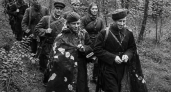Курская УФСБ рассекретила захваченные в 1941 году нацистские инструкции против партизан