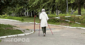 Забудьте про аптечные препараты: пять повседневных привычек помогут вам быстро очистить сосуды от холестерина