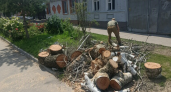 В Курске за неделю убрали 59 аварийных деревьев и вывезли 30 тонн остатков