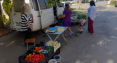 В Курске на 10 адресах пресекли незаконную торговлю продукцией без фитоконтроля