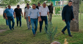 Хинштейн посетил улиточную ферму под Курском, где развивают экотропу и гостевые домики