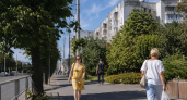 В Курской области 16 августа воздух прогреется до +31 при сухой погоде