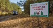 В Курской области ввели противопожарный режим с запретом на посещение лесов