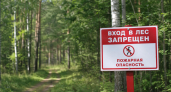 Меры безопасности, социальные выплаты и успехи саперов: главные новости за 30 августа