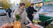 Хватит налегать на морковь: офтальмологи перечислили 7 простых продуктов для защиты зрения на каждый день