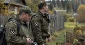 В Железногорске в садовом товариществе ночью ликвидировали вышедшего к людям медведя