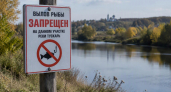 В Курской области ограничили рыболовство на зимовальных ямах реки Тускарь