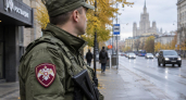 В Курске росгвардеец не на службе задержал напавшего на продавщицу с секатором