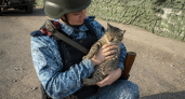 В Курском районе котёнок Тигр стал напарником полиции и охраняет пост