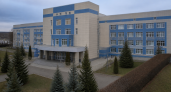 Курский ОПЦ предупредил о лжезаведующей роддомом с онлайн-консультациями для беременных