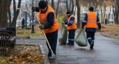 Курские журналисты и представители правительства вышли на масштабный субботник
