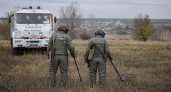 В Курской области у дороги обнаружили начиненную тротилом тушку зайца
