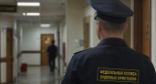 В Курске мужчину отправили под арест за повторную нецензурную брань в суде