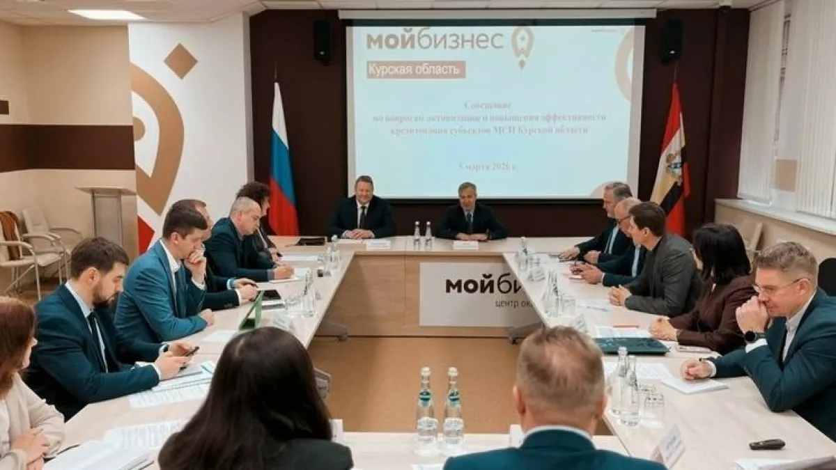 500 поручительств за 15 лет: как курский бизнес получил доступ к миллиардам