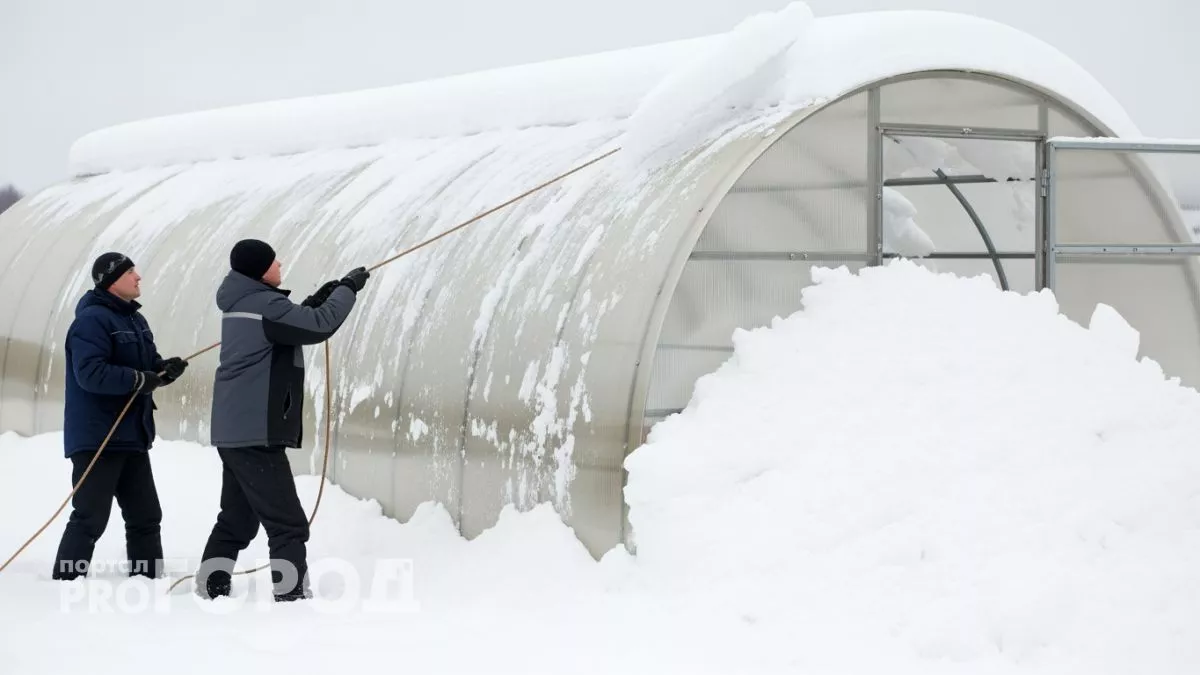 Забытый трюк с обычной солью растопит весь снег в теплице пока вы спите дома