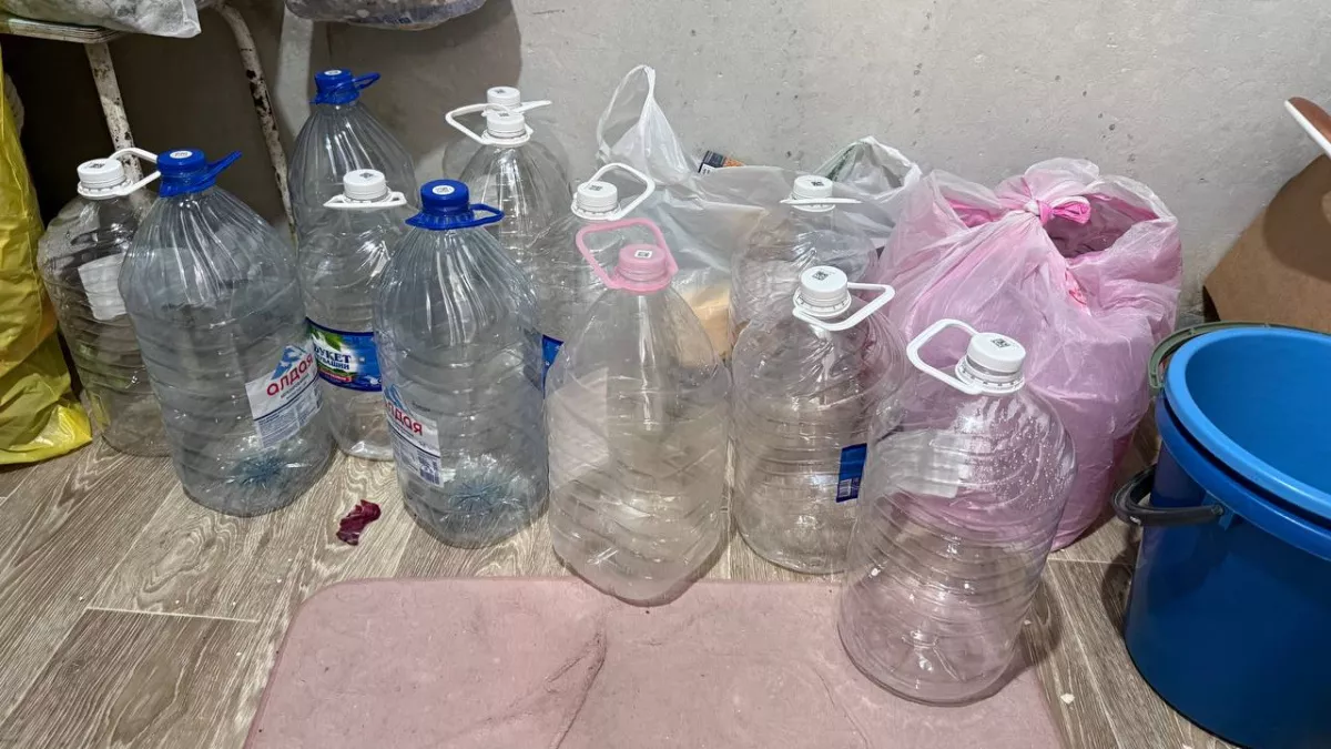 Вся дача в пластике, а урожаю завидуют: как я бросил поливать грядки и травить жуков — они исчезли сами после этой хитрости