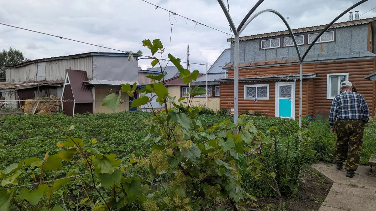 Бани и сараи под прицелом: что изменится для дачников с апреля