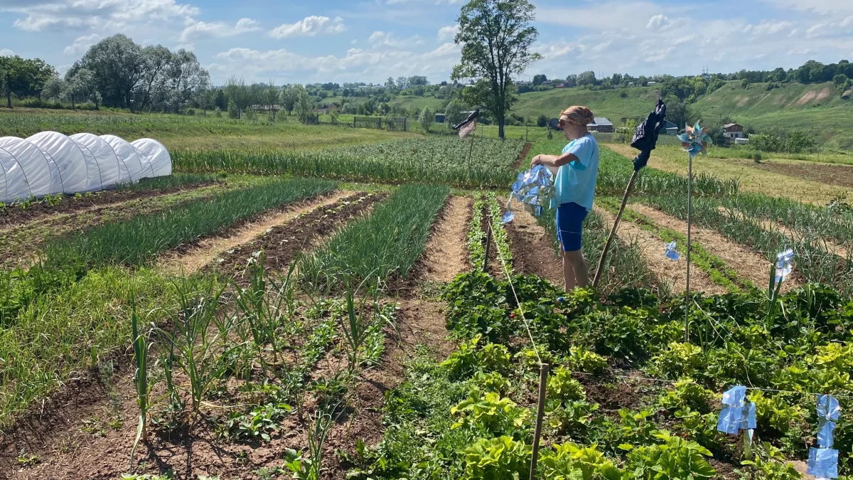 Сад как с картинки: необычный материал для ограждений, который прослужит годами — раскрываем секрет