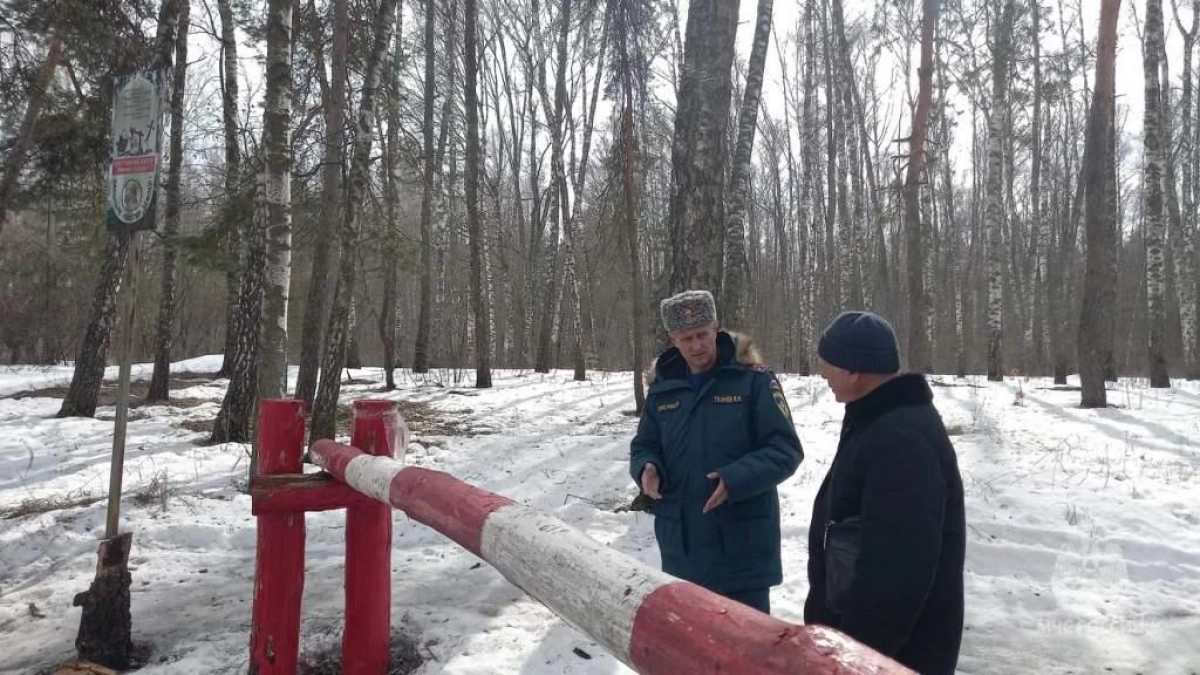 МЧС проверяет готовность 53 курских сел к лесным пожарам