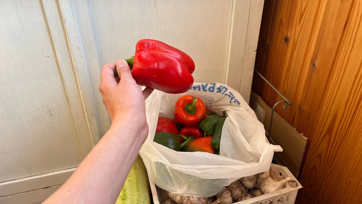 Не выбрасывайте очистки: секрет богатого урожая кроется в кухонных отходах