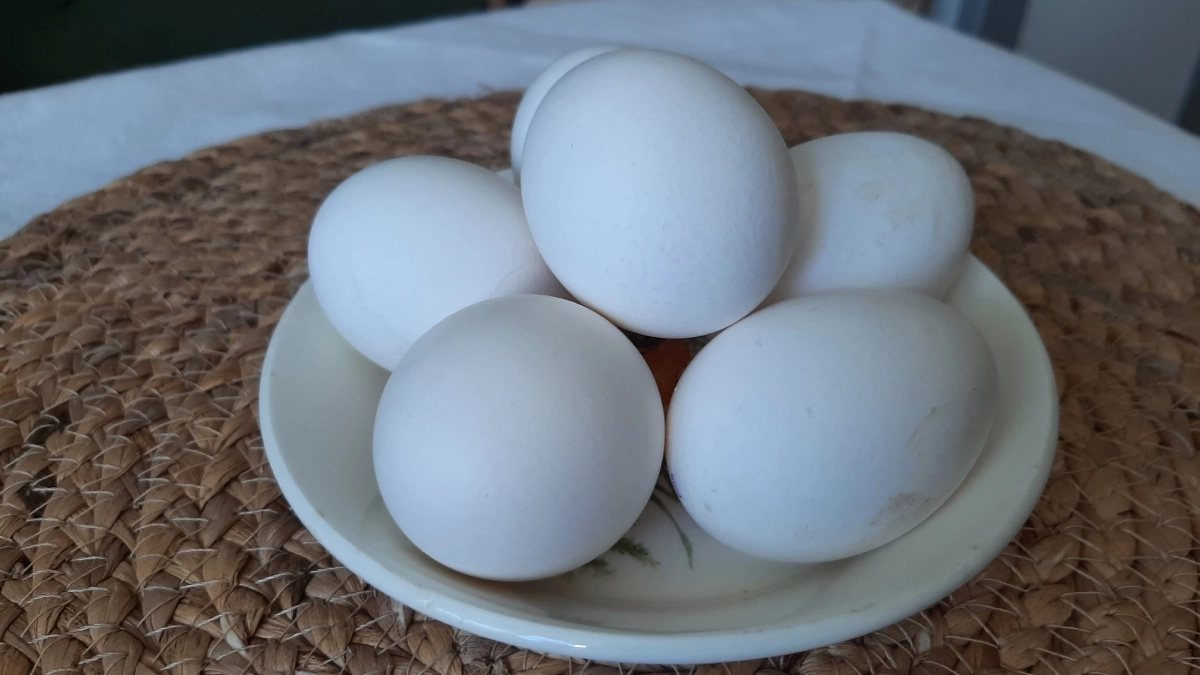 Не ешьте так яйца: этот способ ускоряет старение — данные учёных