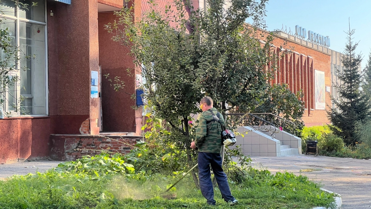 Грядки у подъезда под запретом: что грозит россиянам за огород во дворе многоэтажки