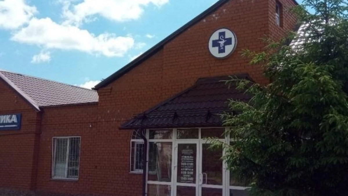 В Курске с 1 апреля бесплатно вакцинируют кошек и собак от бешенства