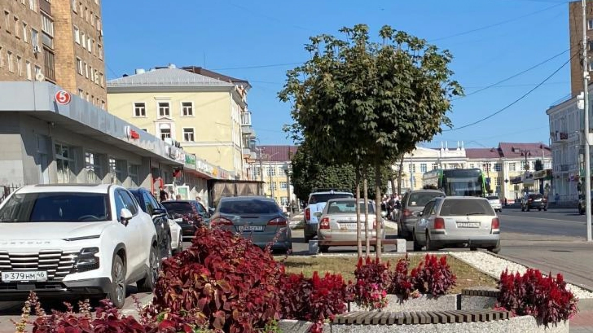 Хинштейн предложил бить рублём за парковку в неположенных местах