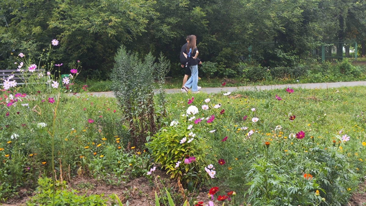 Лето‑2026: жара, ливни и сюрпризы погоды — прогноз синоптиков с вероятностью на 40 %