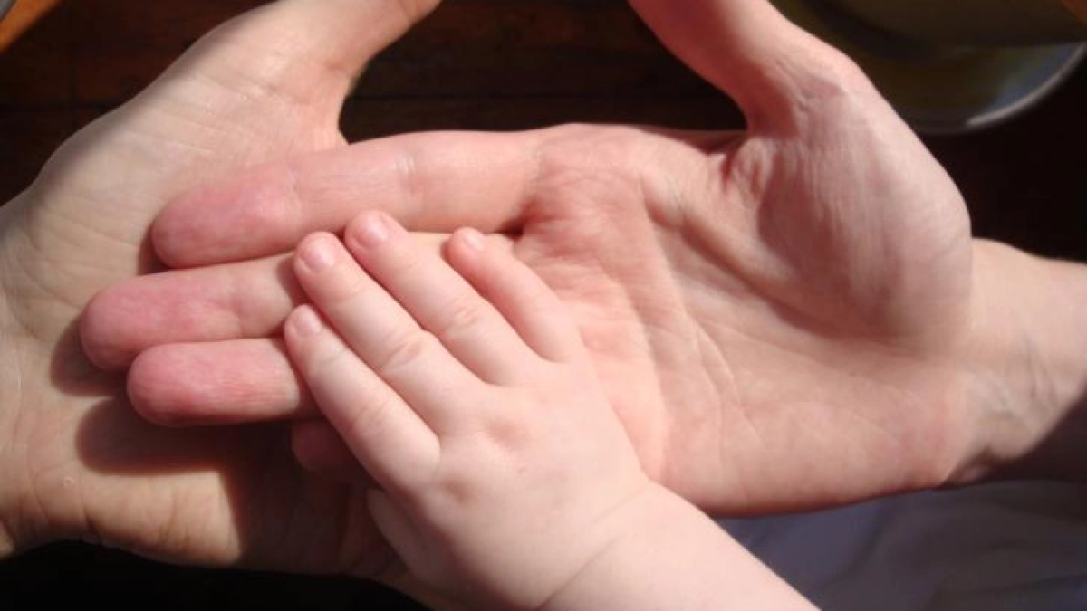 12,7 тыс. курян получают доплату к пенсии за детей-студентов