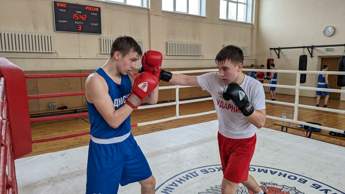 200 боксёров из 17 регионов ЦФО сразятся в Курске в честь великой битвы
